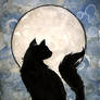 Moon Cat