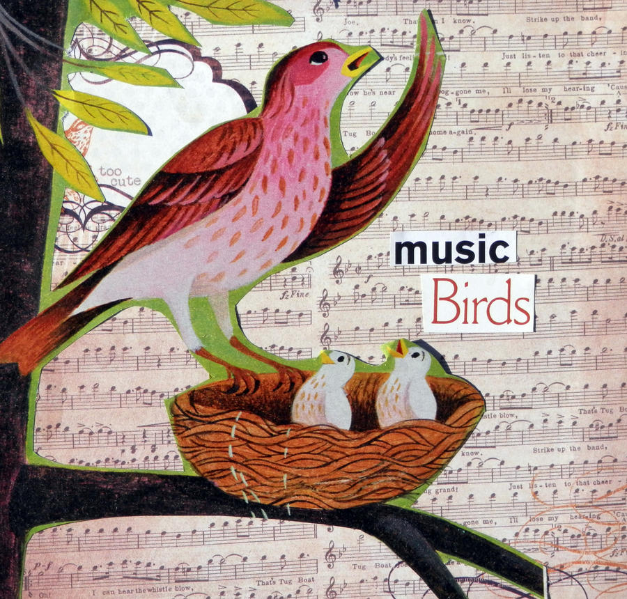 Music Birds