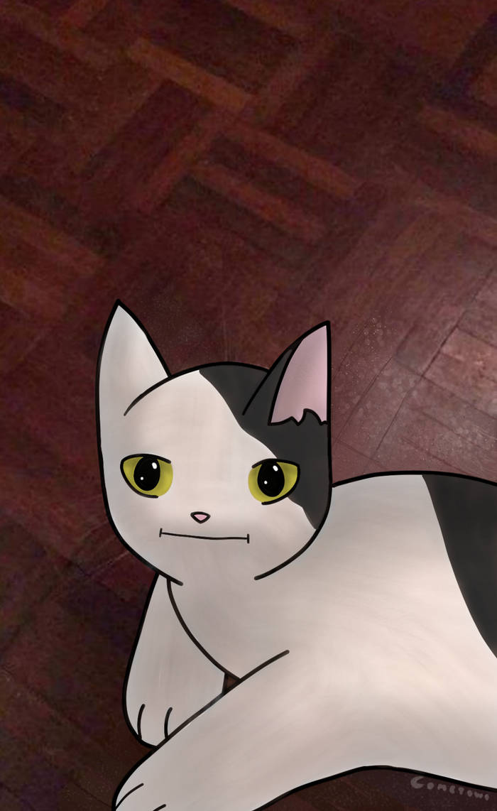 Transgender Icon - Polite Cat by FruiityPieQ on DeviantArt