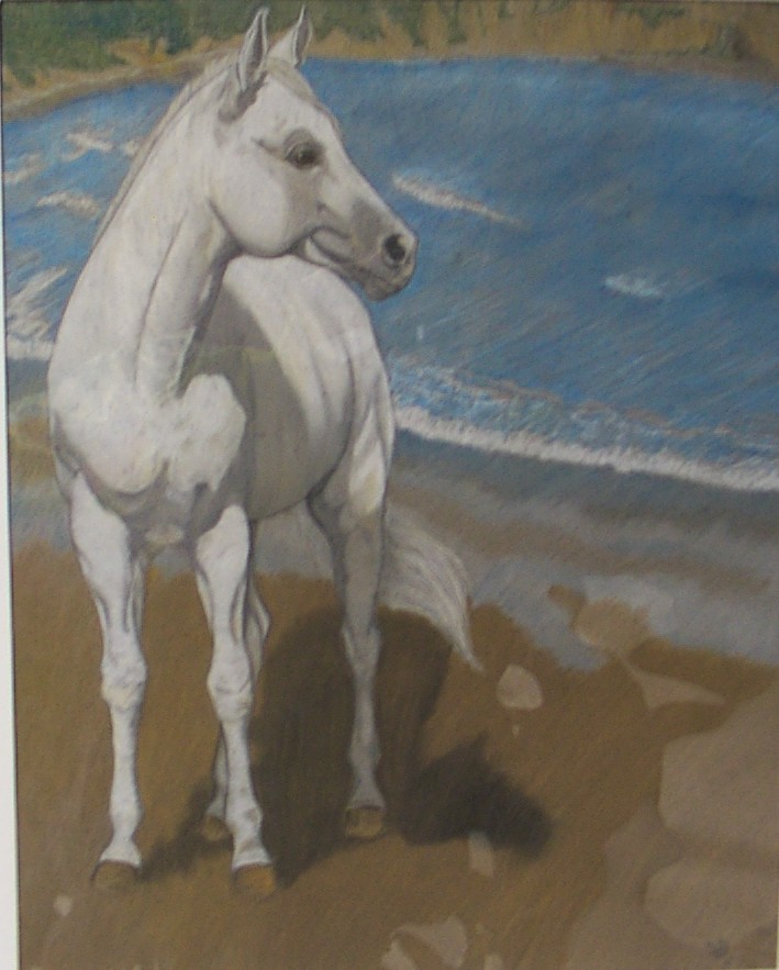 White stallion on beach