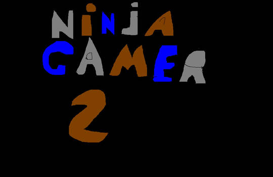 ninja gamer 2