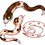Calico Snake