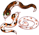 Calico Snake