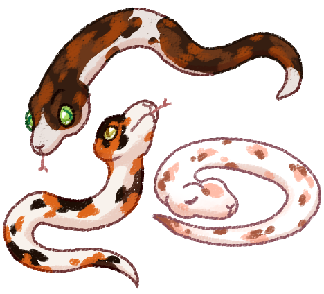 Calico Snake