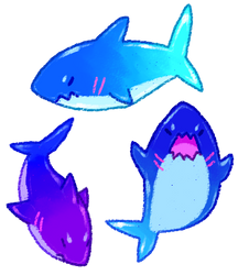 (S) Gummy Shark