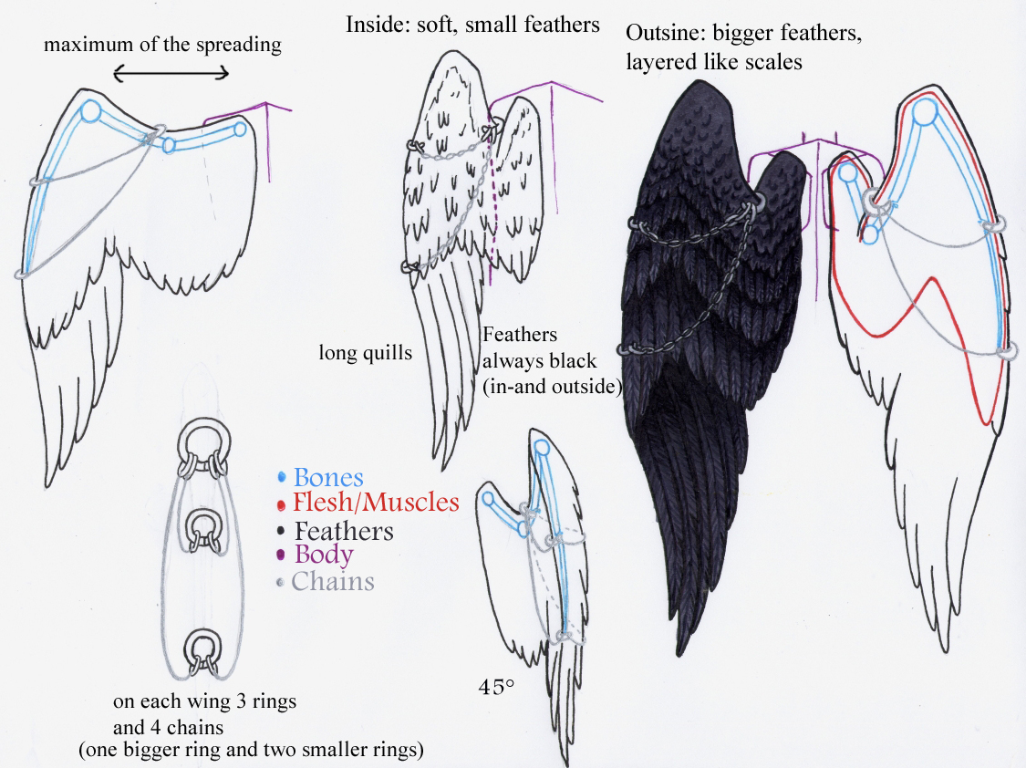 Azrael - wing-reference