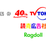 40th anniversary TV tokyo Yomiko Ragdoll