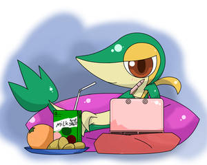 snivy free time
