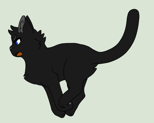 Crowfeather