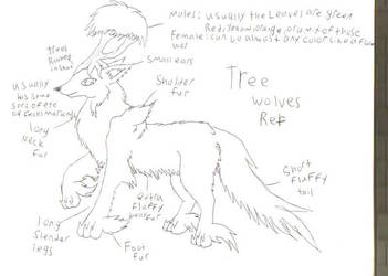 tree wolf ref sheet