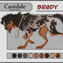 [Canidale] BRODY