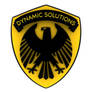 Dynamic Solutions Logo