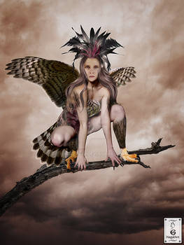 The Harpy