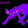 Randall-Dog Form