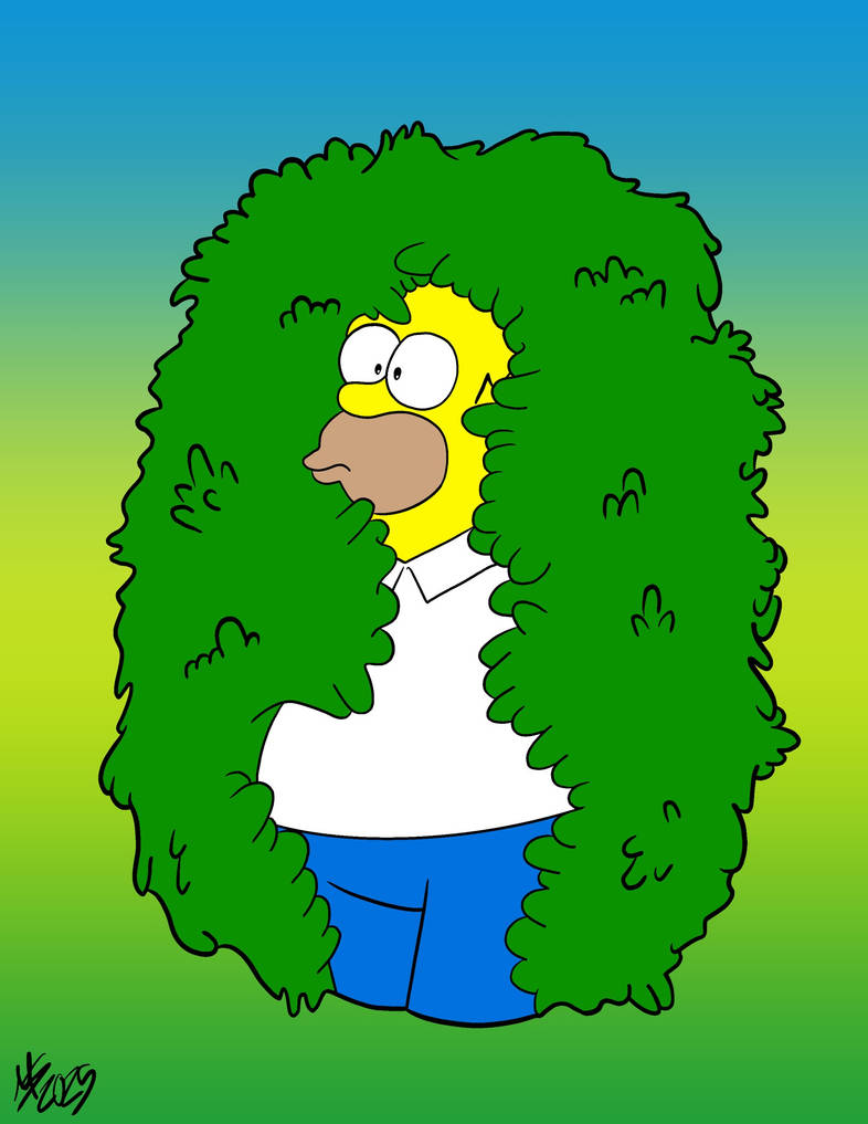 Homer Hedge Meme by maizie0201 on DeviantArt