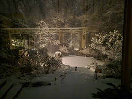 Reflection in the Snow