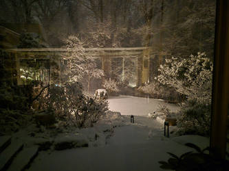 Reflection in the Snow