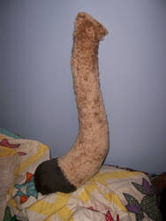 Semi-Finished Cougar Tail