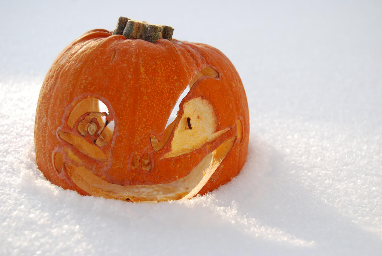 Snow Pumpkin