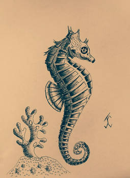 AnimalSeaHorse