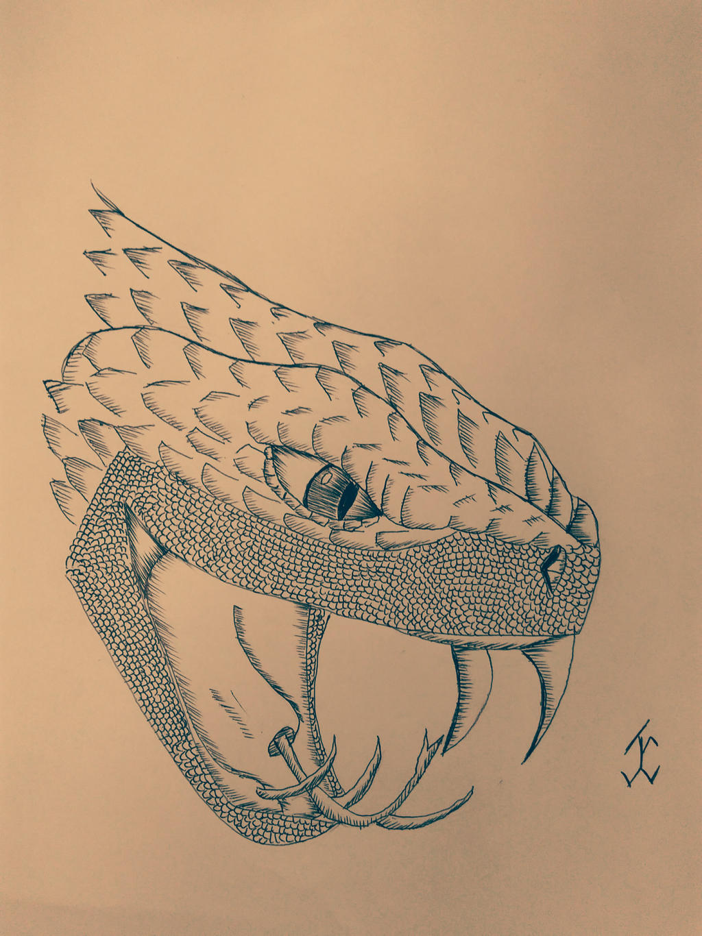 AnimalsSnake02