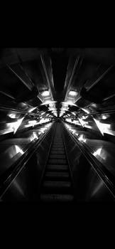 Where Light Goes to Vanish