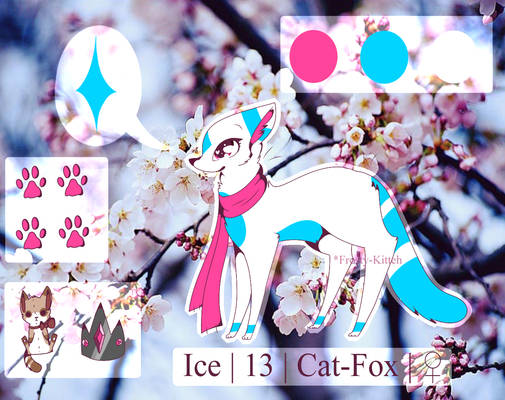 Ice Reference Sheet