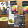 print design store brochure