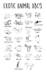 The ABC's of Excotic Animals