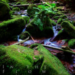 In The Flow by Linkineos