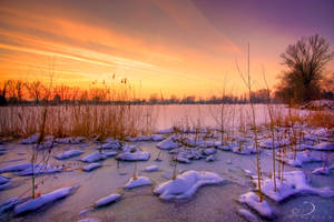 Frozen Lake