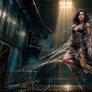 Entangled in the Shadows