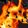 Flaming Butterflys bookmark