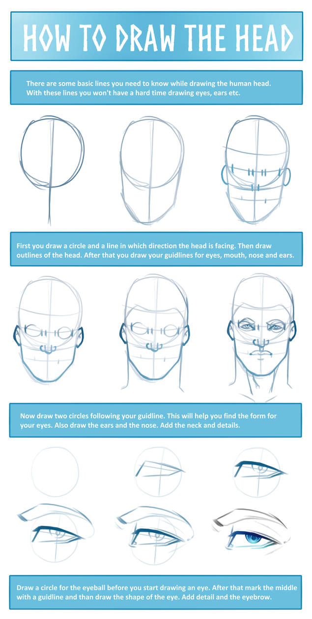 Head Tutorial Front by RaikaiRan on DeviantArt