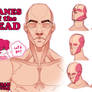 Head Tutorial