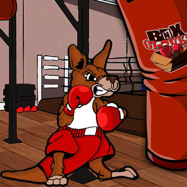 Hitting A Roo Roo hitting the Heavybag by KarozNorman on DeviantArt