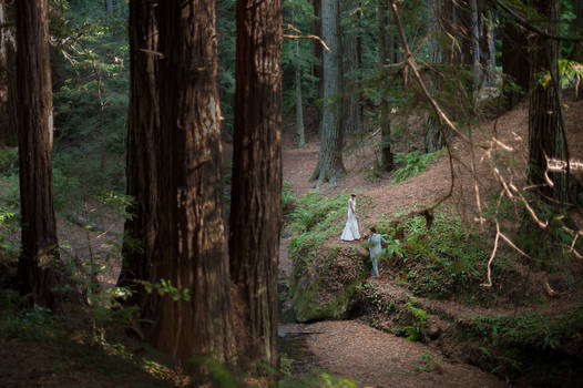 Wedding Forest