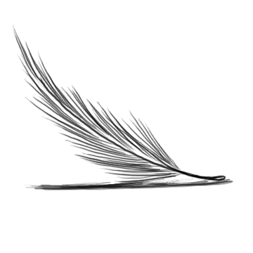 Feather Render