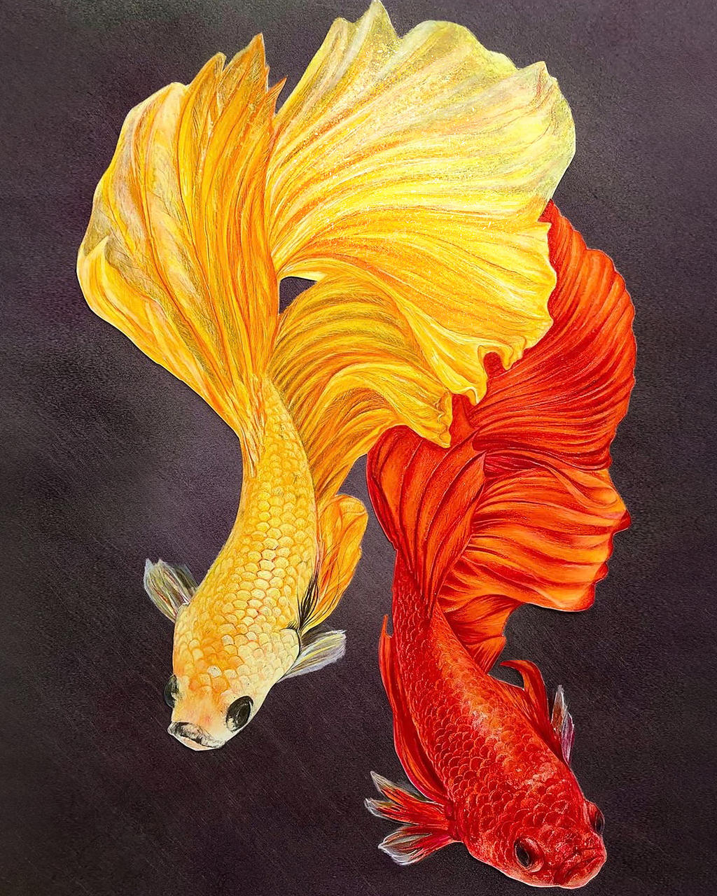 Two Fish Dancing Dancing fish by PersianBoy1991 on DeviantArt