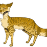 Leopardstar