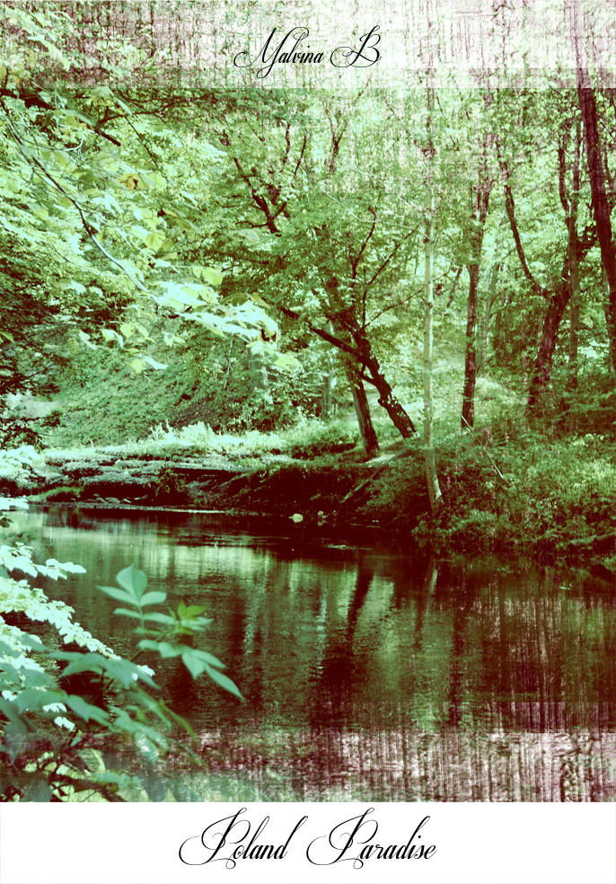 Poland Paradise Allenstein forest