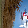 III. Dominican Republic Flag