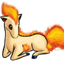 Ponyta