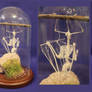 Articulated Bat Skeleton display