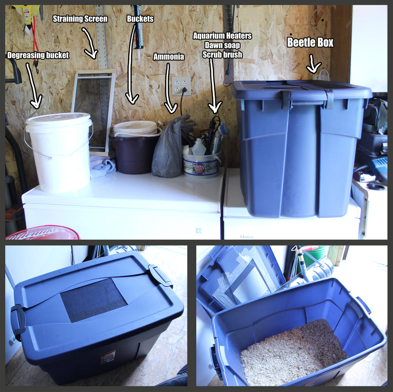 Processing Setup by BluesCuriosities on DeviantArt