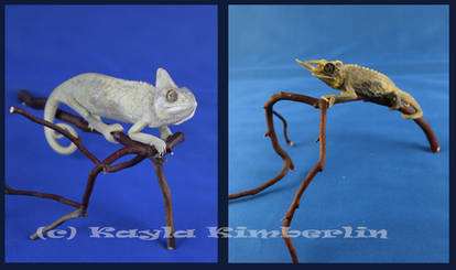 Etsy Taxidermy SALE: Chameleon