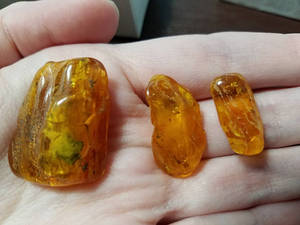 Real Baltic Amber for sale!