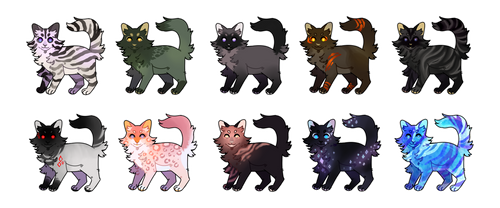 Lots of cats [CLOSED]