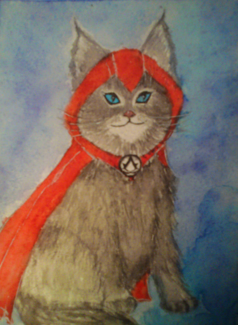 Assassin cat by SetsuroakaLena on DeviantArt