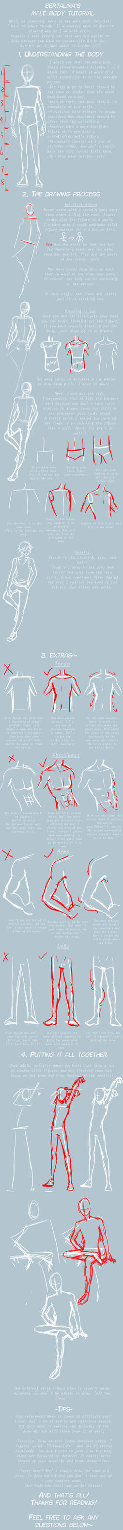 Male Body Tutorial